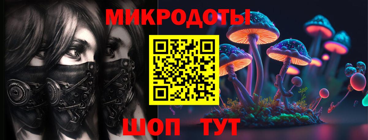 Татарск  Псилоцибиновые грибы Psilocybine cubensis  Вход с VPN  Галлюциногенные грибы прущие грибы 