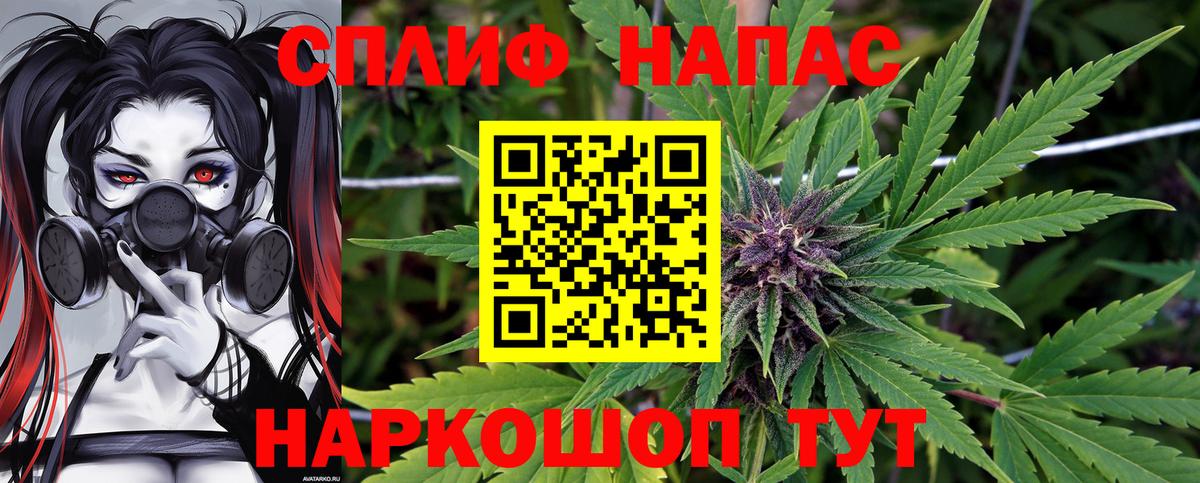 Бошки Шишки планчик Татарск